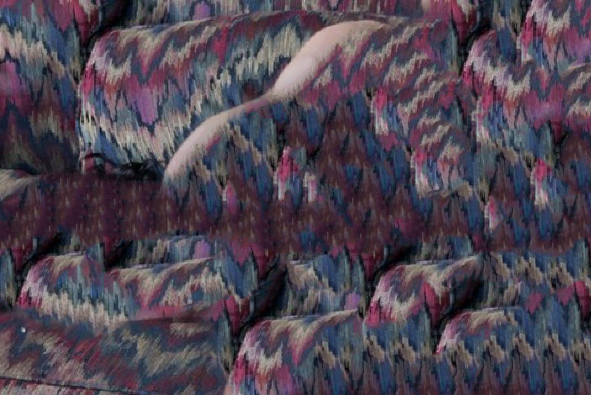 In a blown-up, low-resolution jpeg, erased traces of a backside and the curve of a back blend into the busy pattern of a sofa.